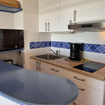 アパート Avec Piscine, Animaux Admis, Parking, A Port Camargue, 4 Pers.