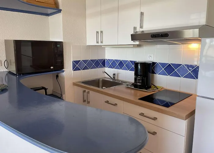 Апартаменты Avec Piscine, Animaux Admis, Parking, A Port Camargue, 4 Pers. - Fr-1-250-296